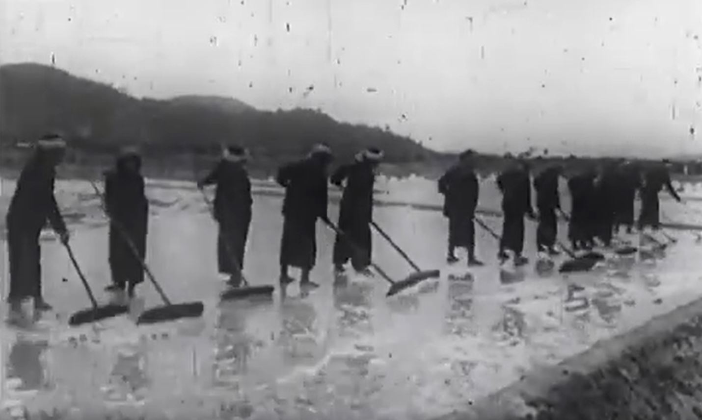 Families in the salt field community